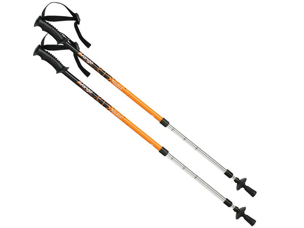Trekking poles iceland